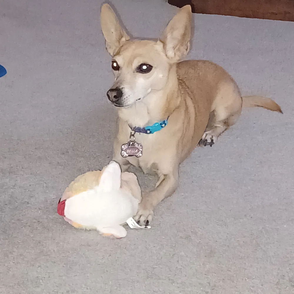 sheryl67.bsky.social's profile picture