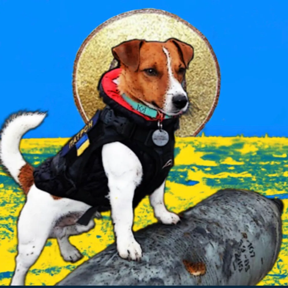 bluenote1866.bsky.social's profile picture