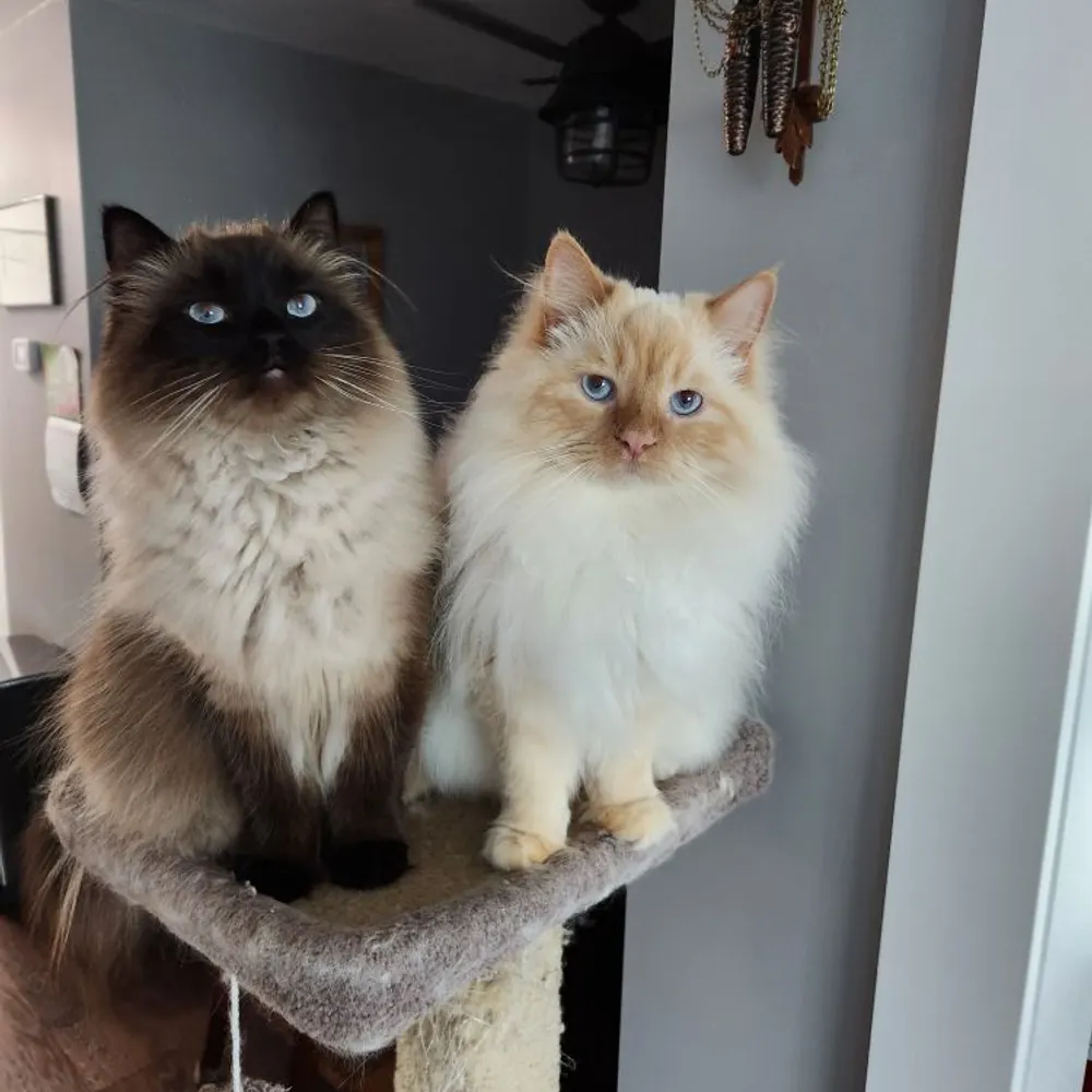 ladyannheather.bsky.social's profile picture