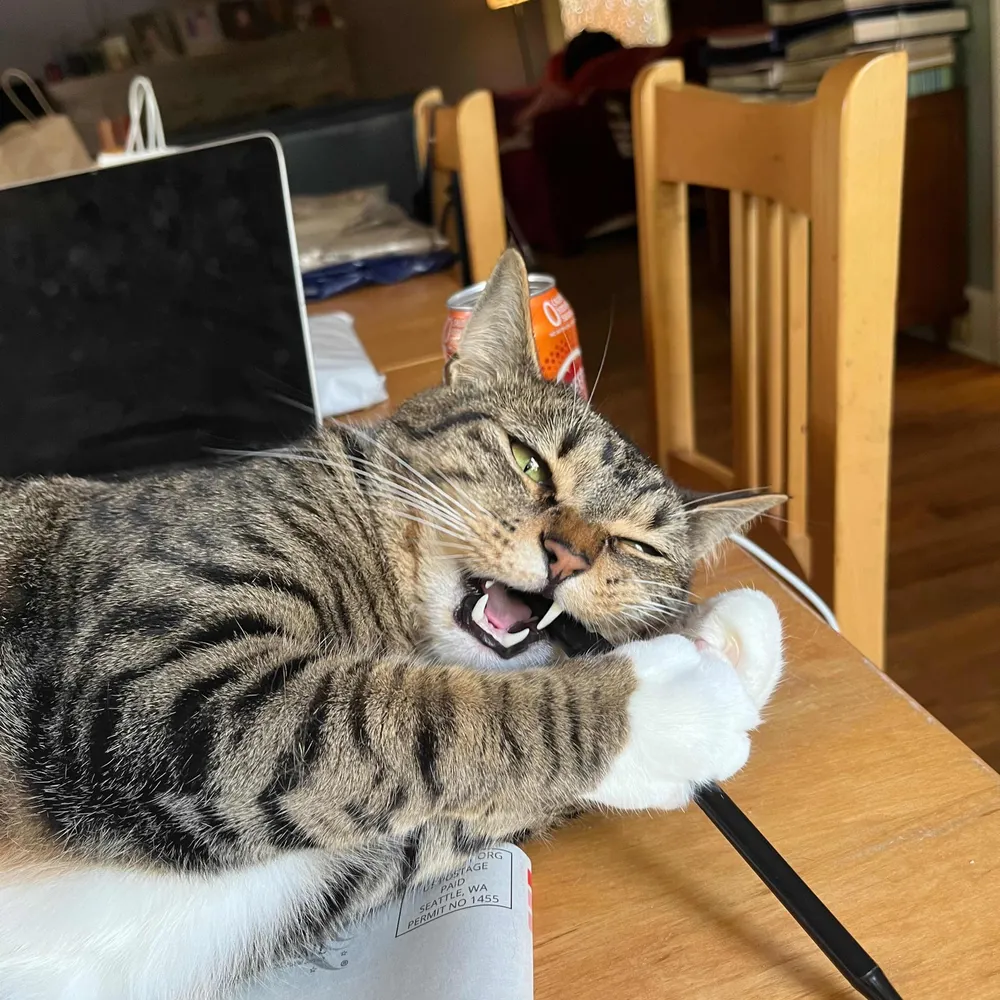 annathevagabond.bsky.social's profile picture