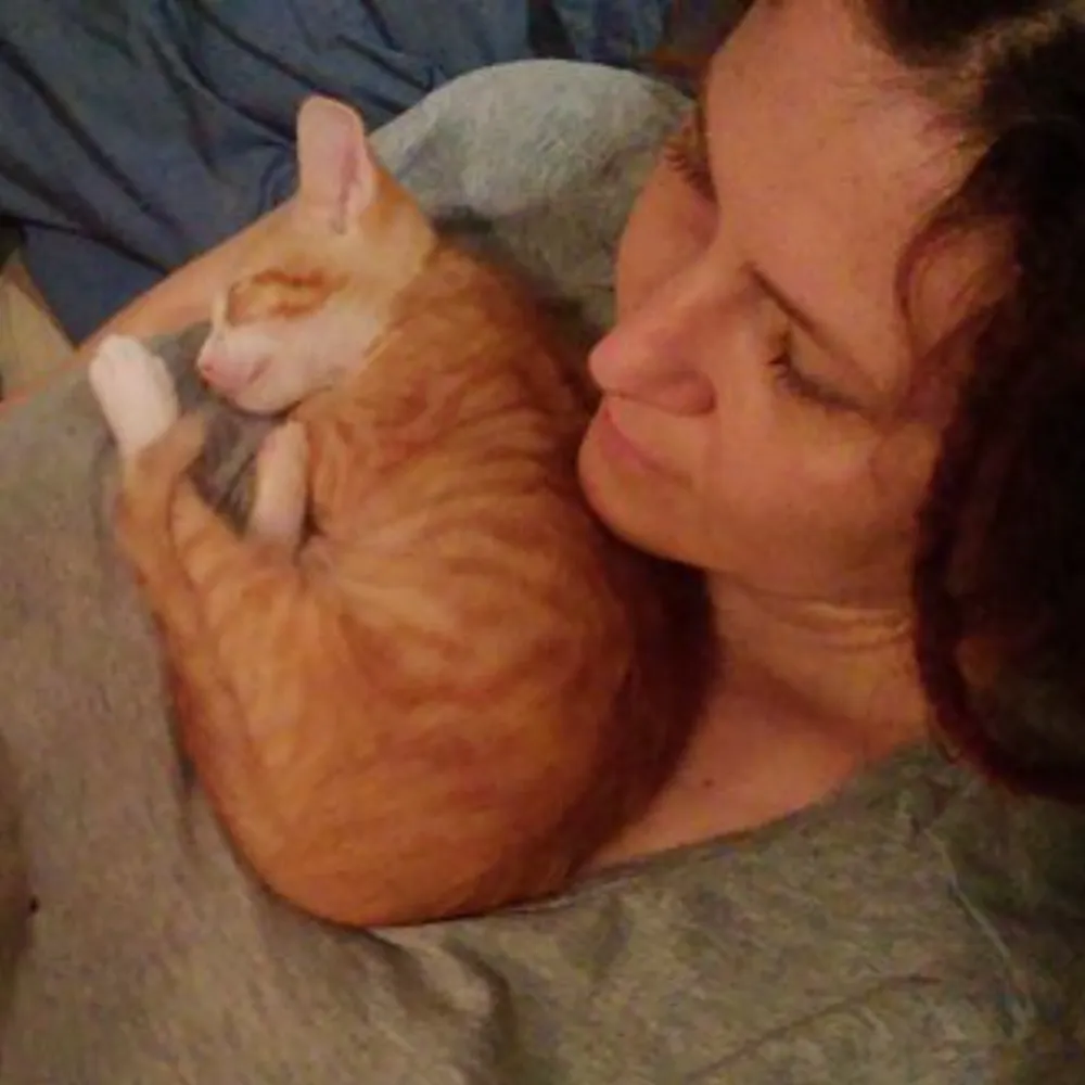 knittwittier.bsky.social's profile picture