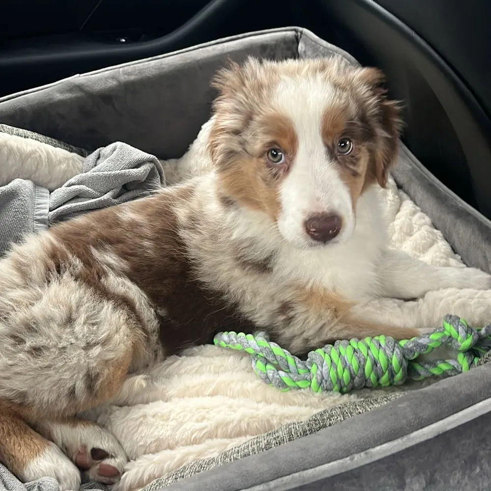 babsi54.bsky.social's profile picture