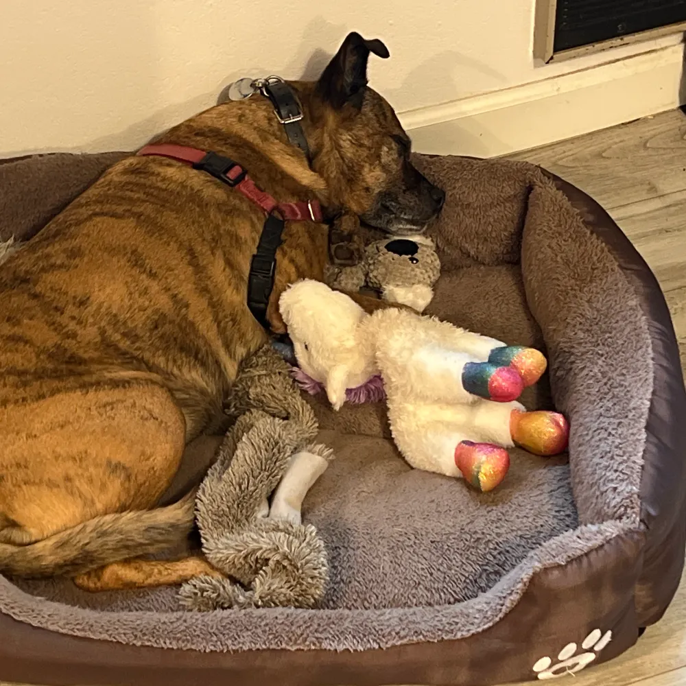 farmbabe2.bsky.social's profile picture