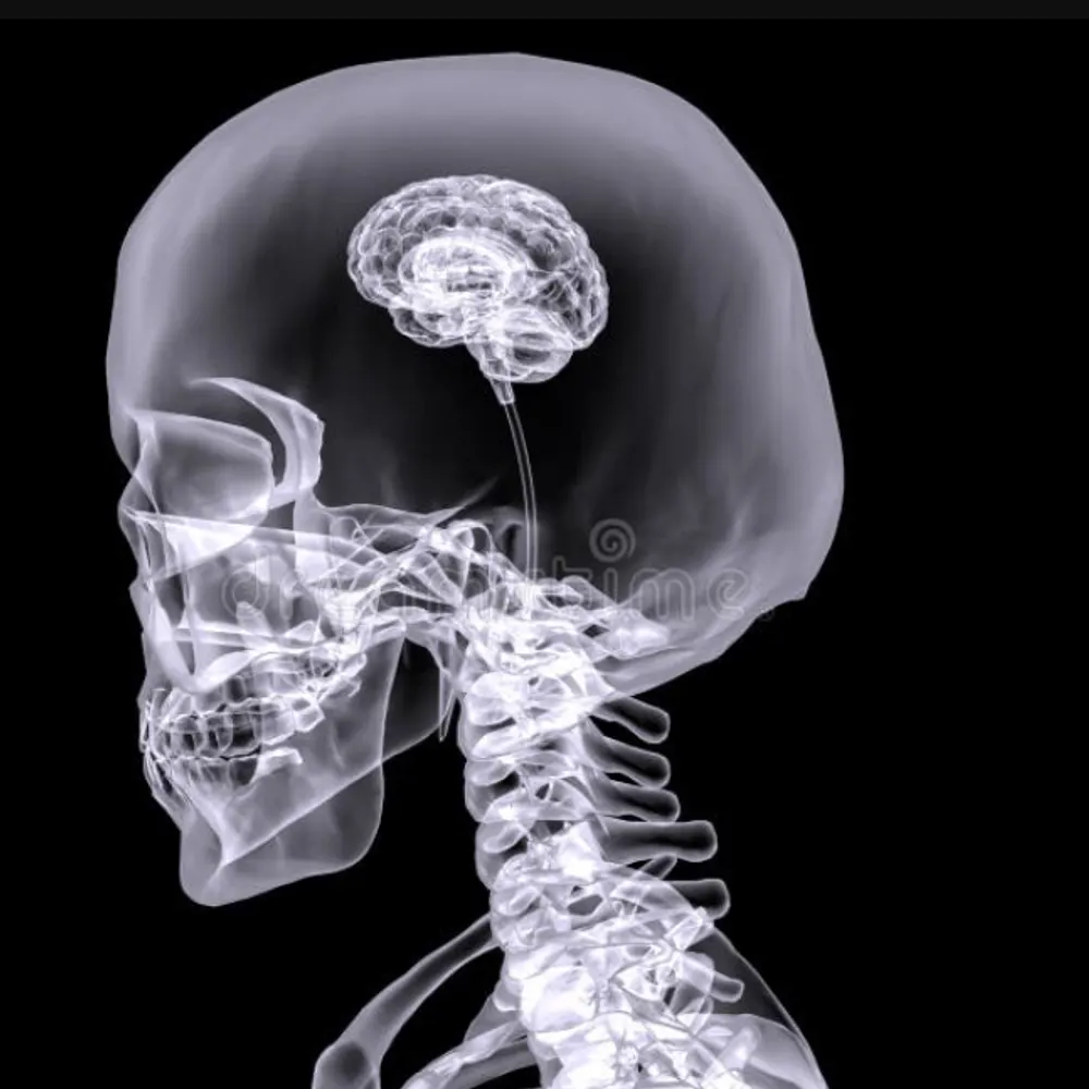 humzas-brain.bsky.social's profile picture