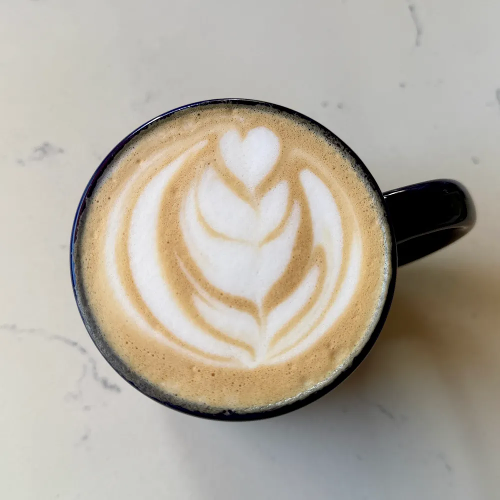 katcast210.bsky.social's profile picture