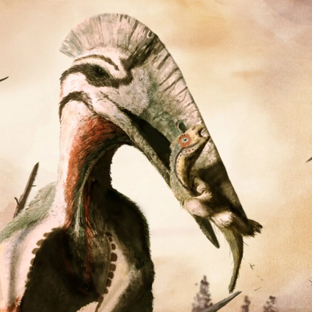 brunodias.bsky.social's profile picture