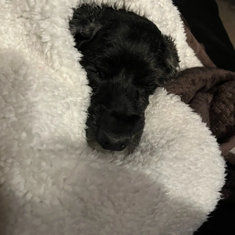 jhuber28.bsky.social's profile picture