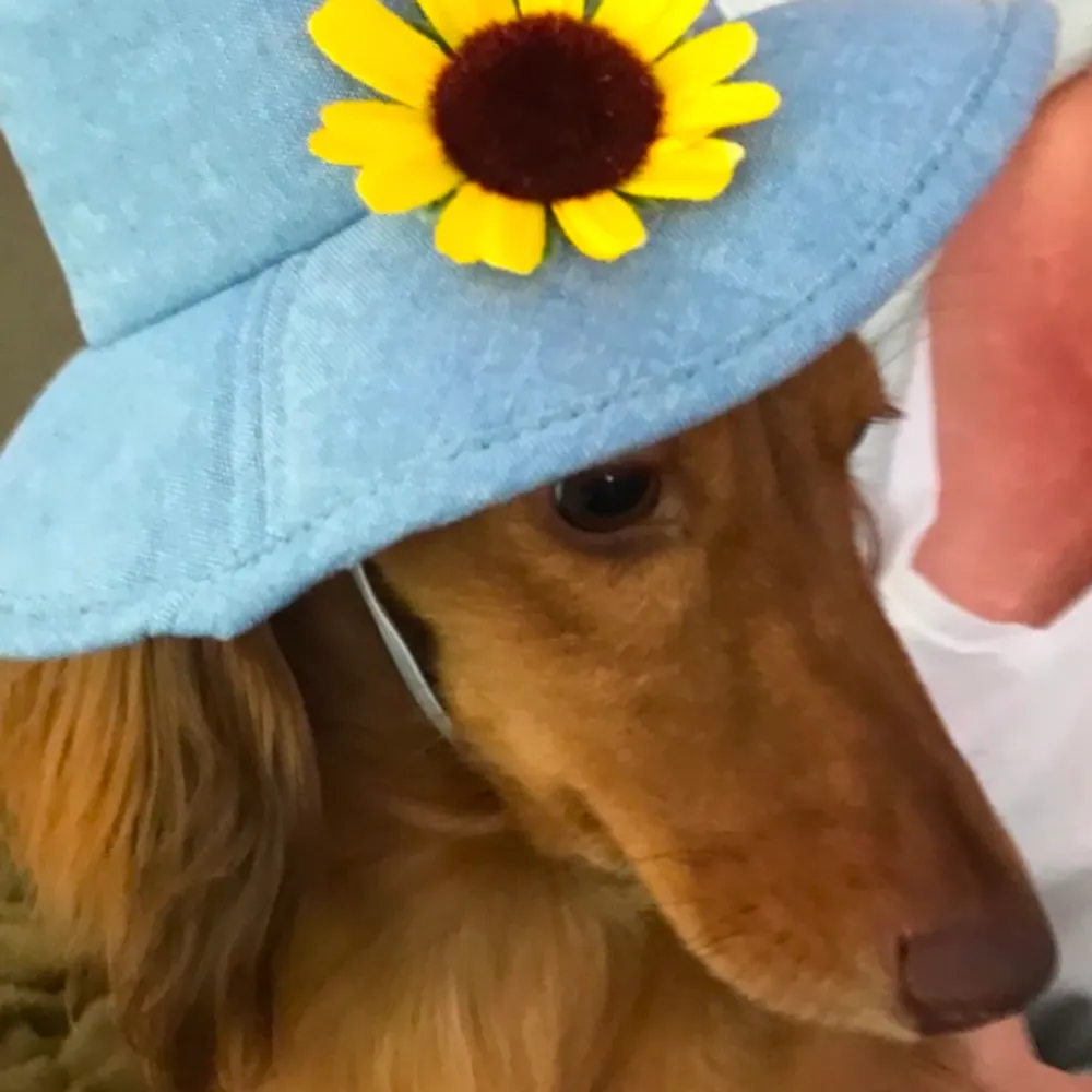 lahlah908.bsky.social's profile picture