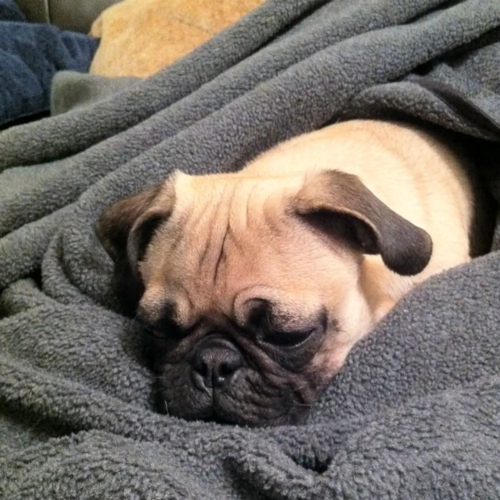 matt.giltaji.com's profile picture