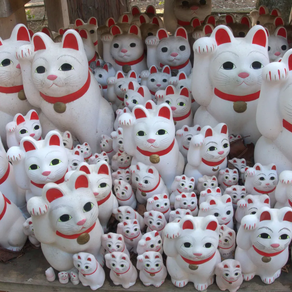 molesatwork.bsky.social's profile picture