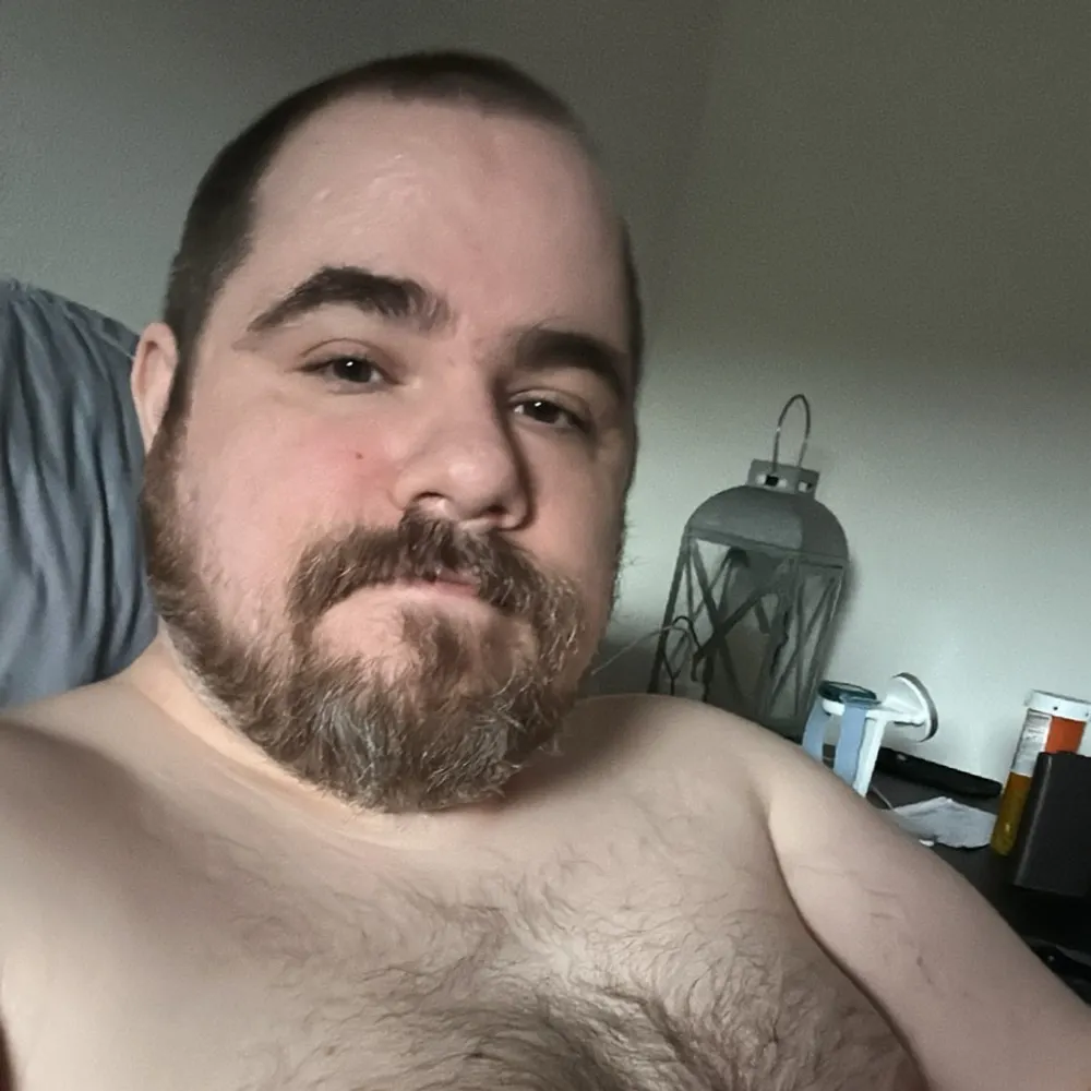 shortgaybear.bsky.social's profile picture