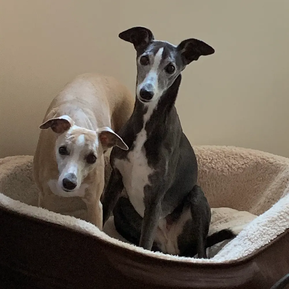 nikkiuk.bsky.social's profile picture