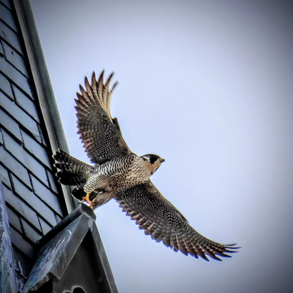 heather147.bsky.social's profile picture