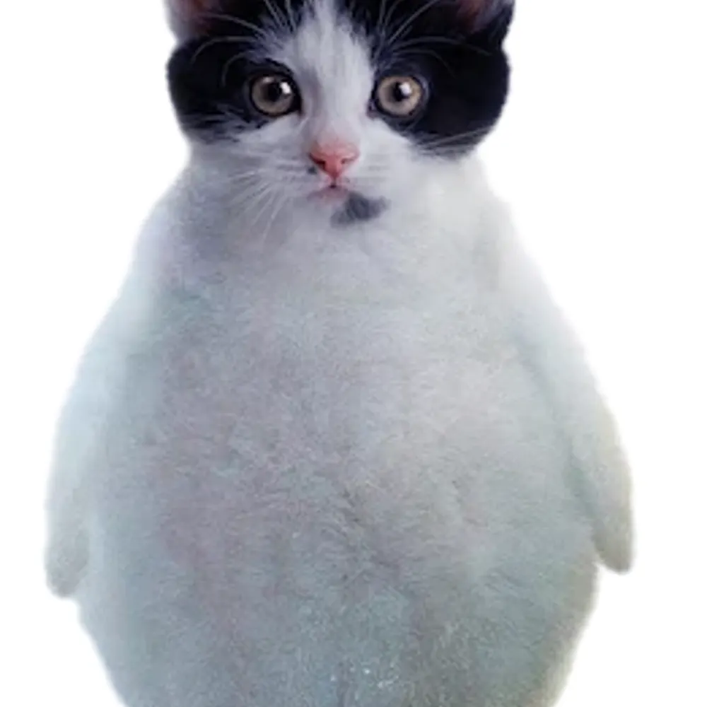 lord-of-the-pyrs.bsky.social's profile picture