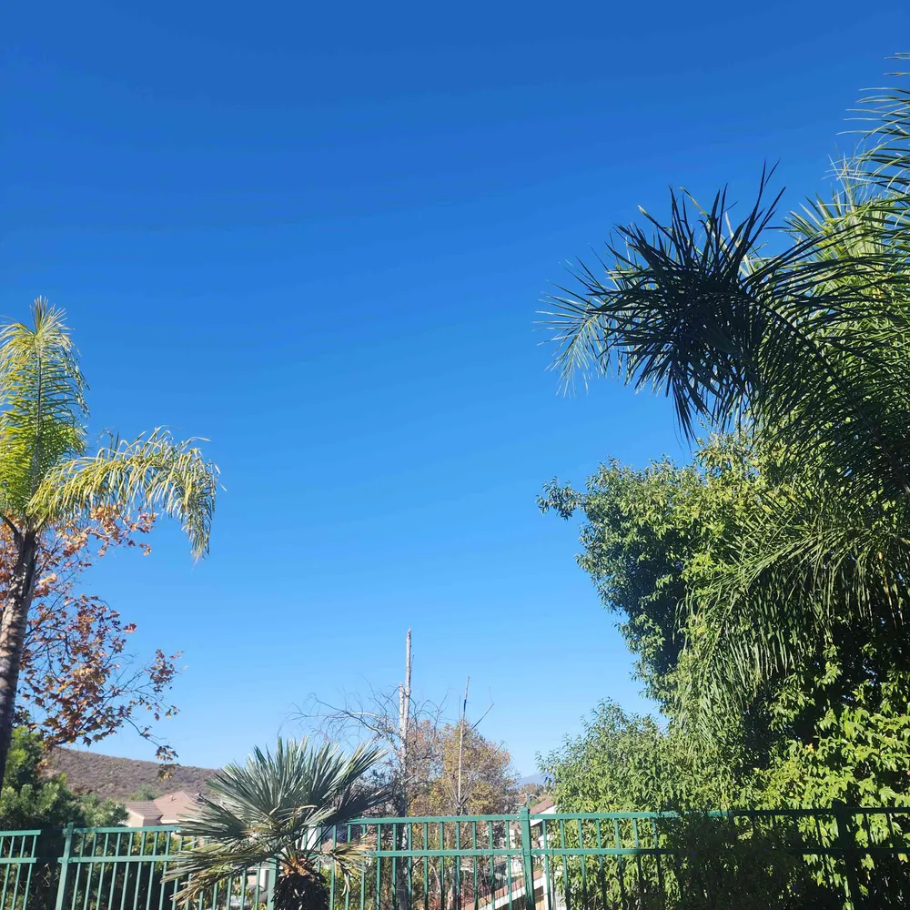 leggatio.bsky.social's profile picture