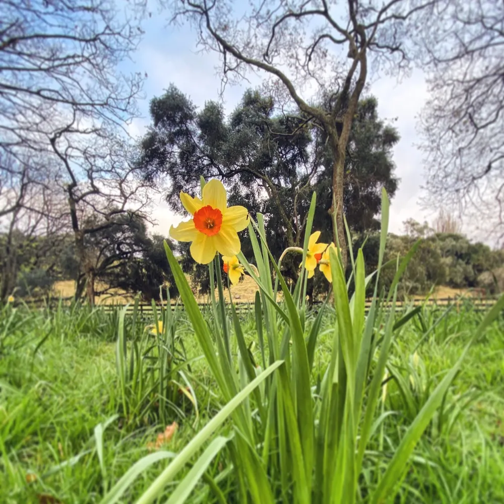 writagal.bsky.social's profile picture