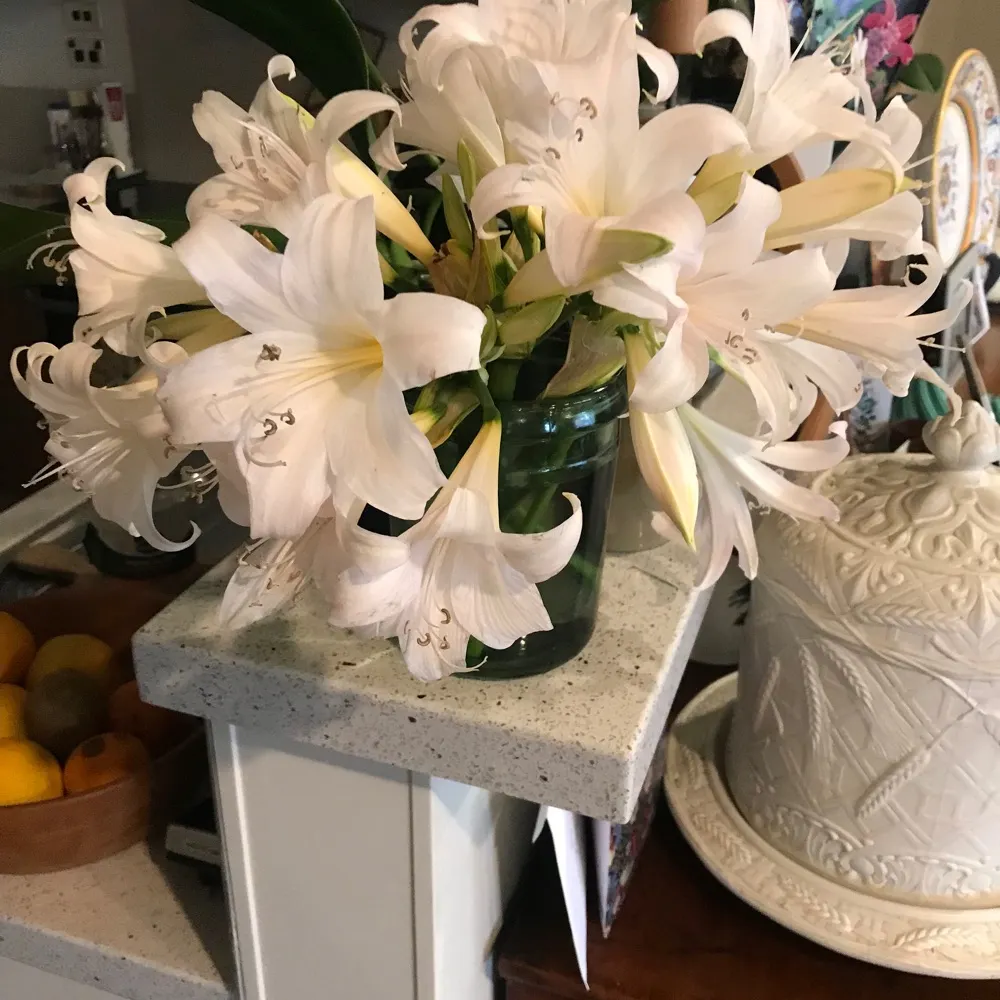 tillygeorge.bsky.social's profile picture