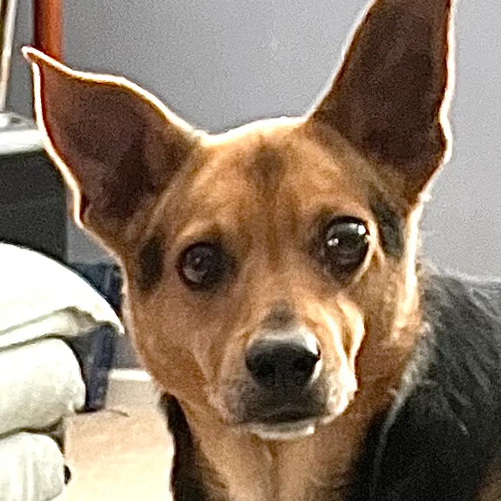 tjcollinsart.bsky.social's profile picture