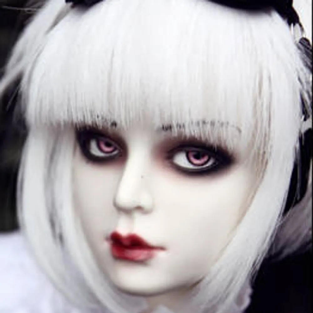 kimryderson.bsky.social's profile picture