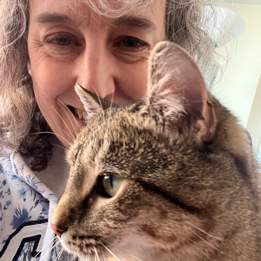 rohanmaitzen.bsky.social's profile picture