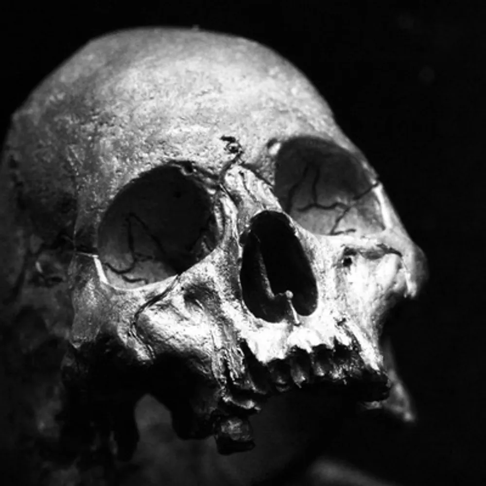 rabsinthe.scot's profile picture