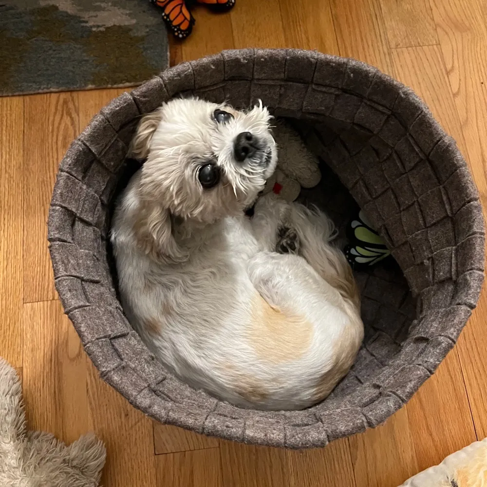 slandersonwdc.bsky.social's profile picture