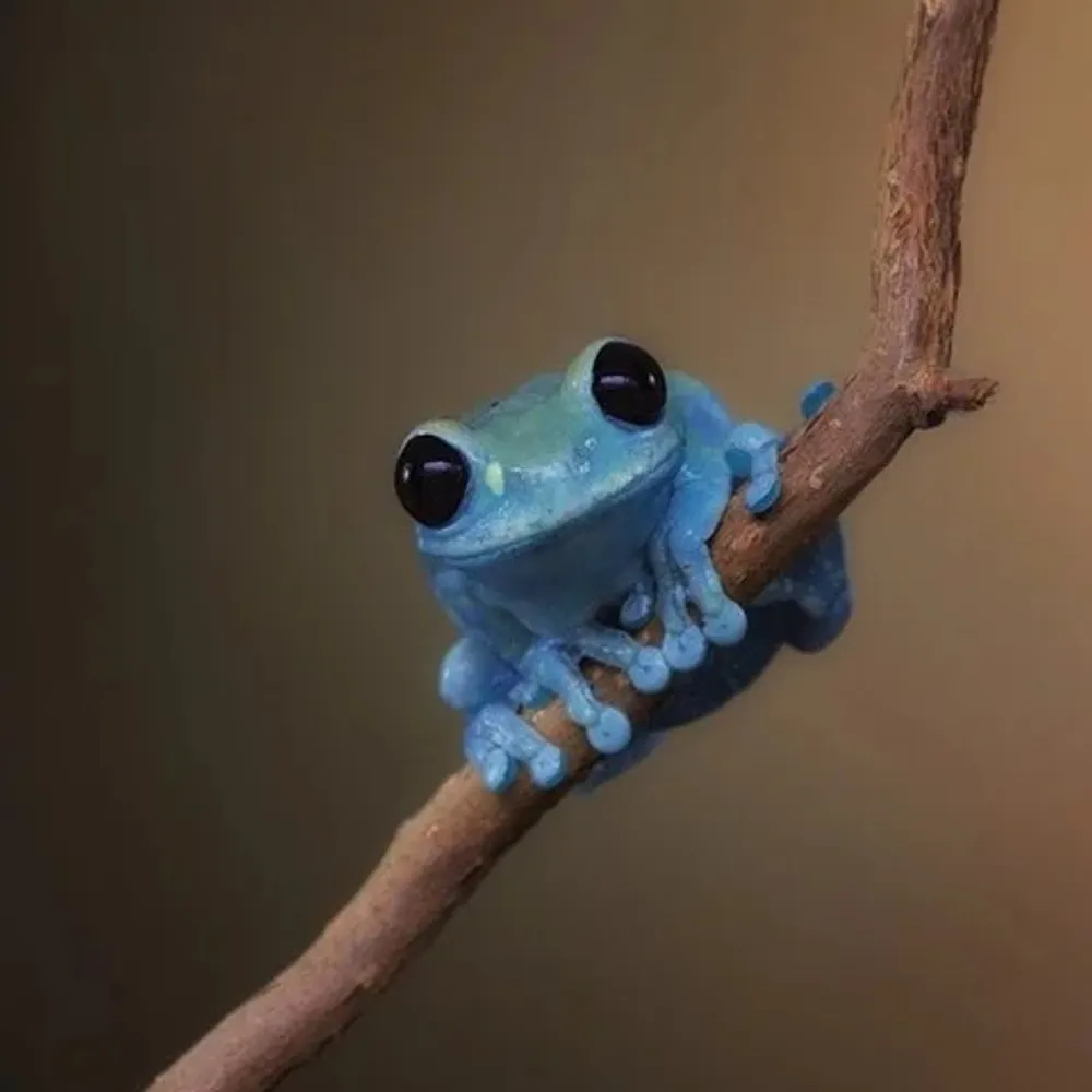 stepni.bsky.social's profile picture