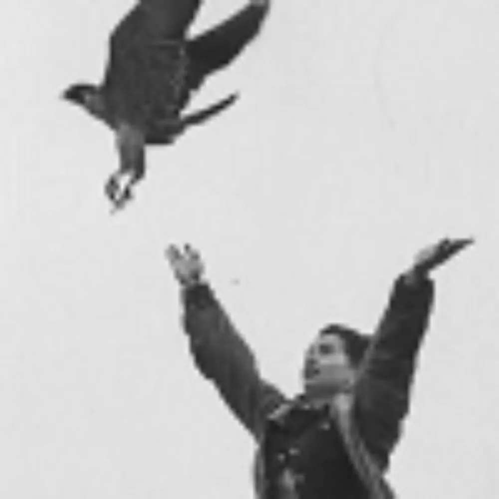 fade.bsky.social's profile picture