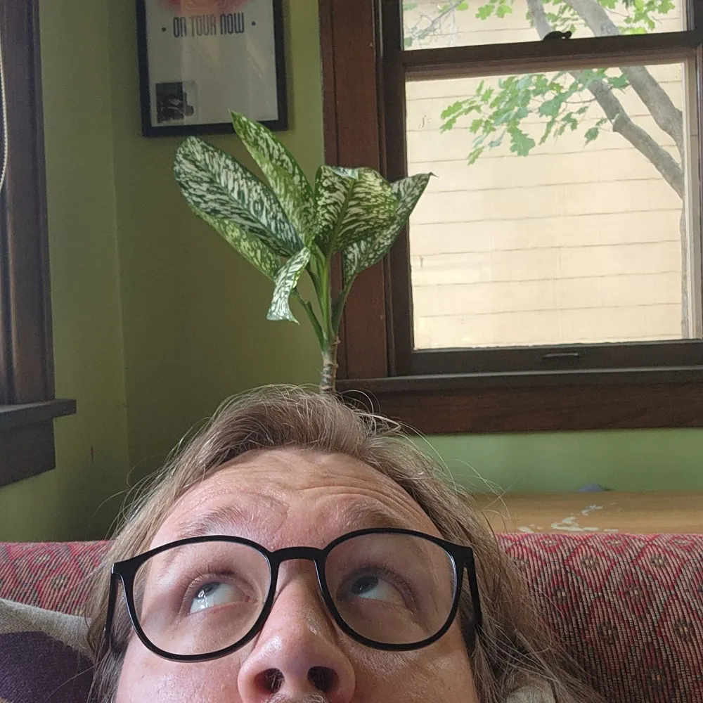 kevinmcclean.bsky.social's profile picture