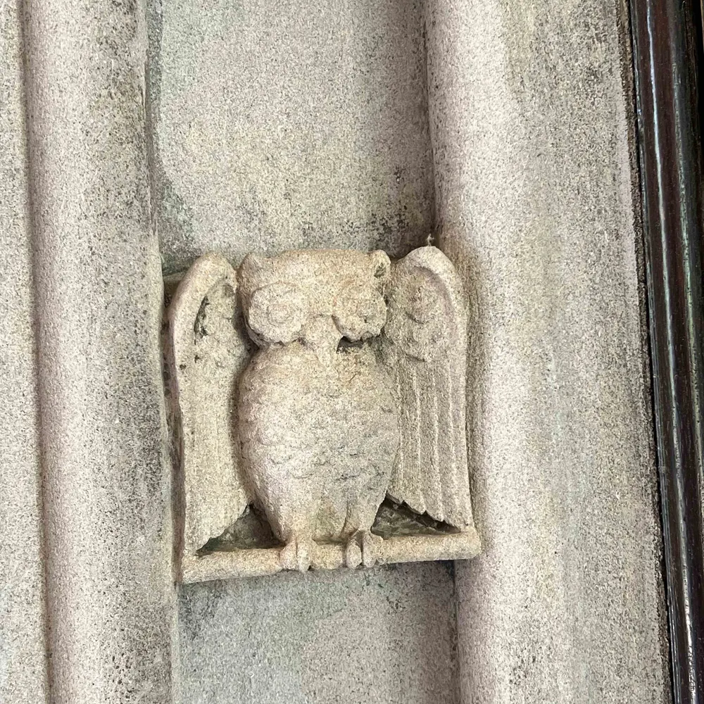 kjowowow.bsky.social's profile picture