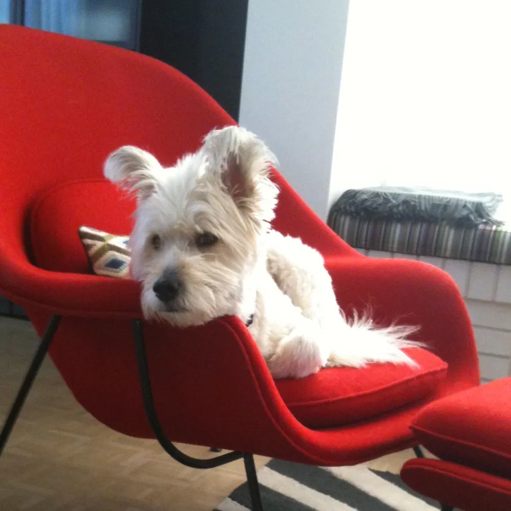 loloanne.bsky.social's profile picture