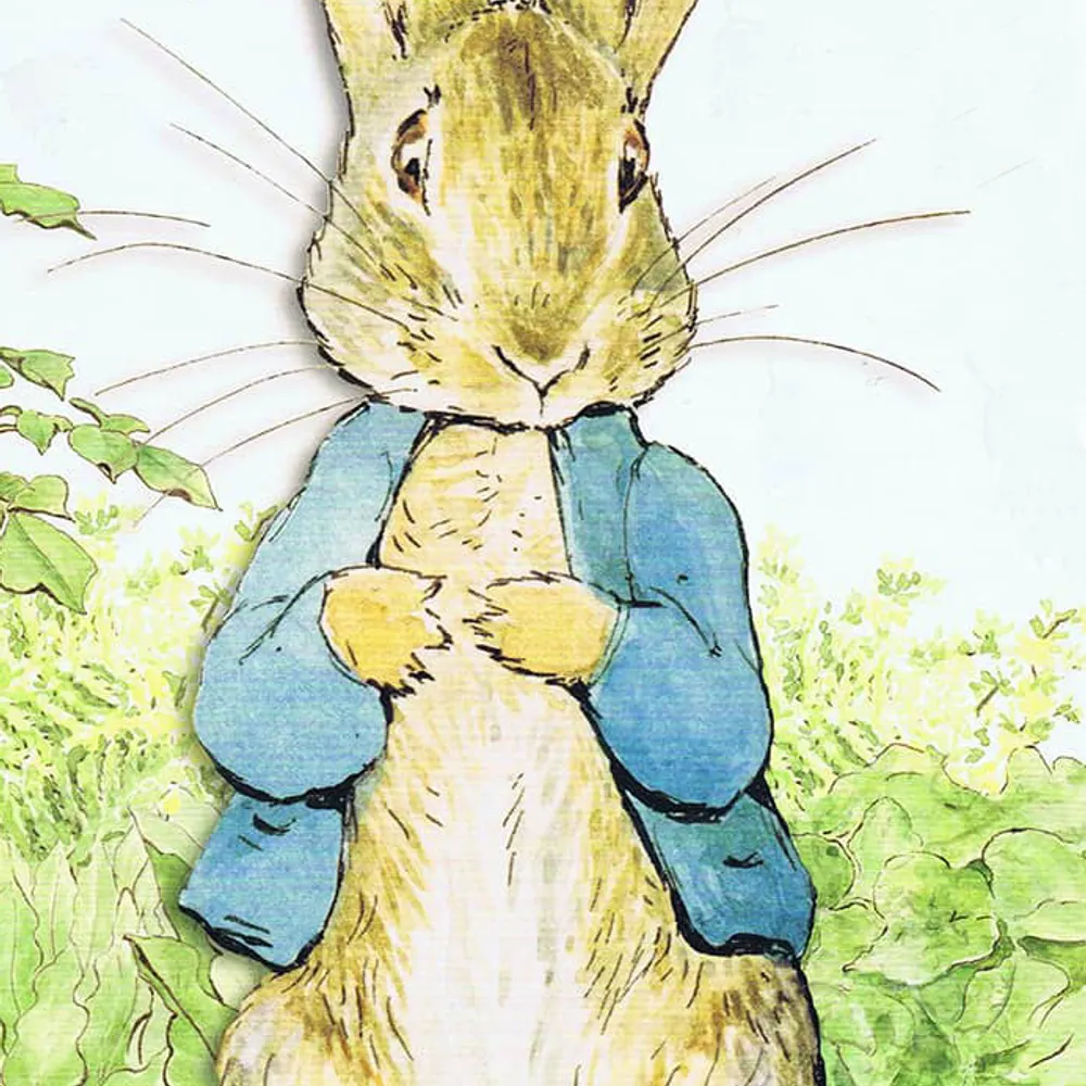 repete23.bsky.social's profile picture