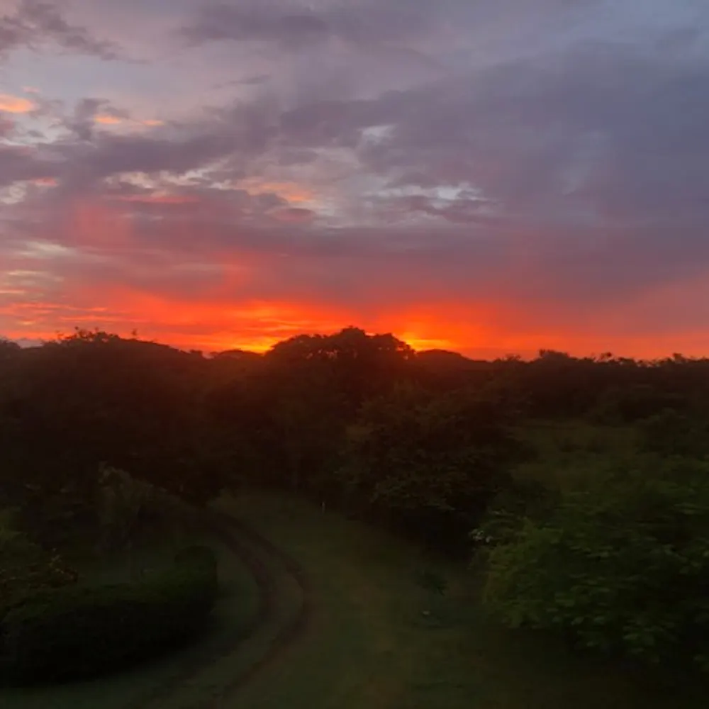 starfishgirl.bsky.social's profile picture