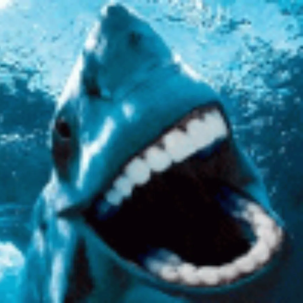 sharkrags.bsky.social's profile picture