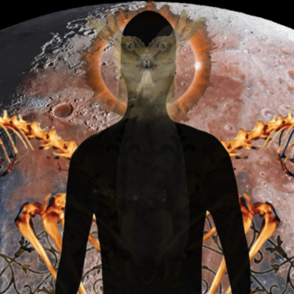 justdodgerolltv.bsky.social's profile picture