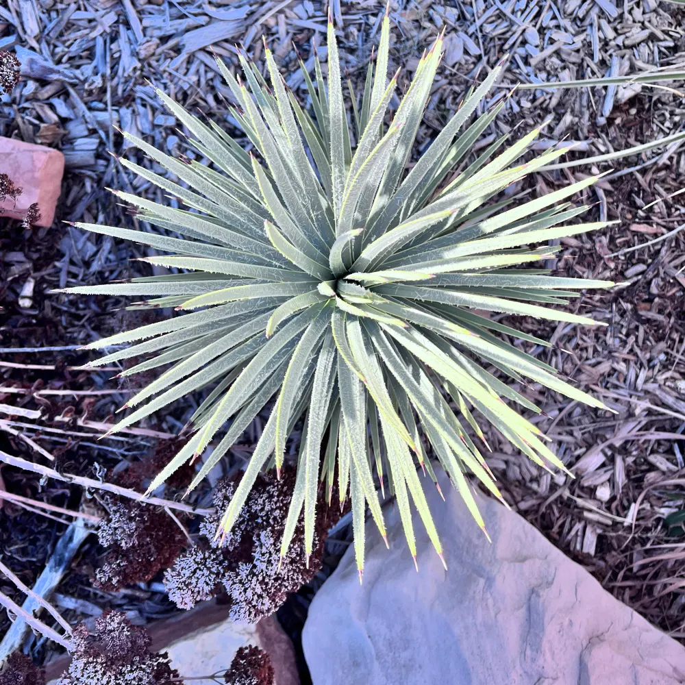 katehydeut.bsky.social's profile picture