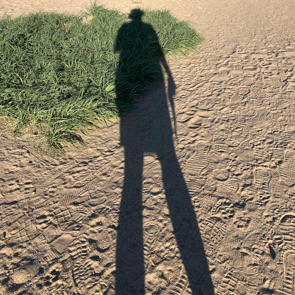 haydihidiho.bsky.social's profile picture