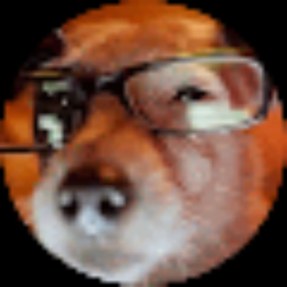 enothewonderdog.bsky.social's profile picture