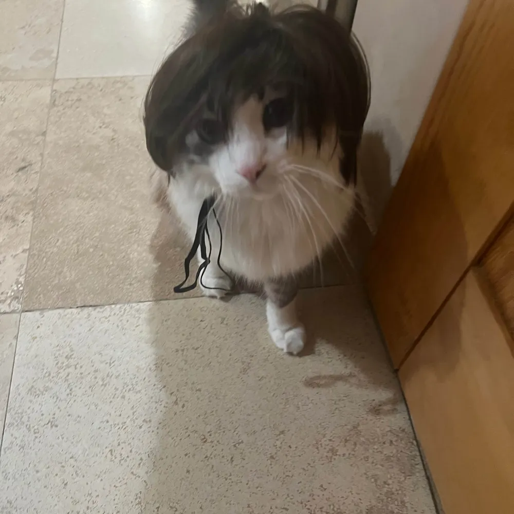 deedyjeen.bsky.social's profile picture