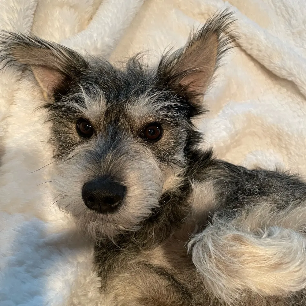 frodolove.bsky.social's profile picture