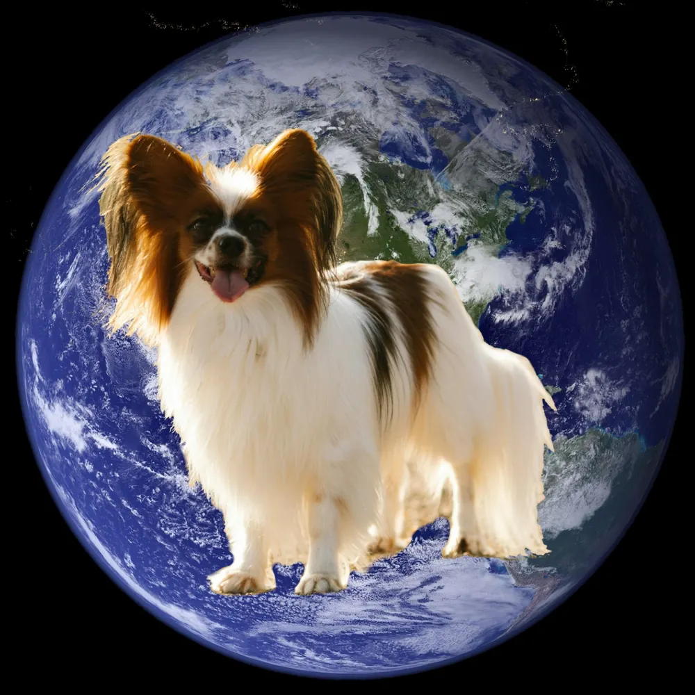 porcelainteacup04.bsky.social's profile picture