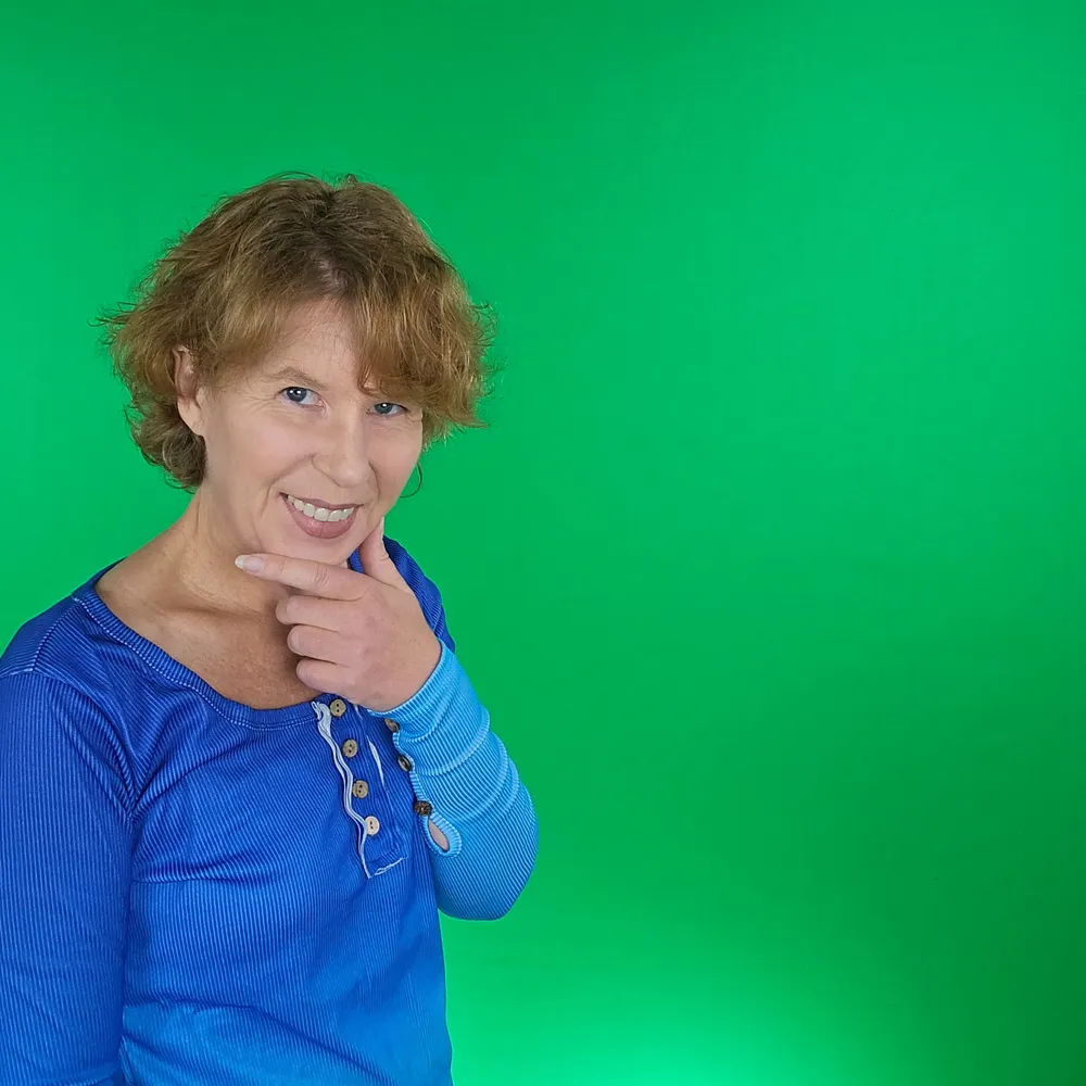 hossenfelder.bsky.social's profile picture