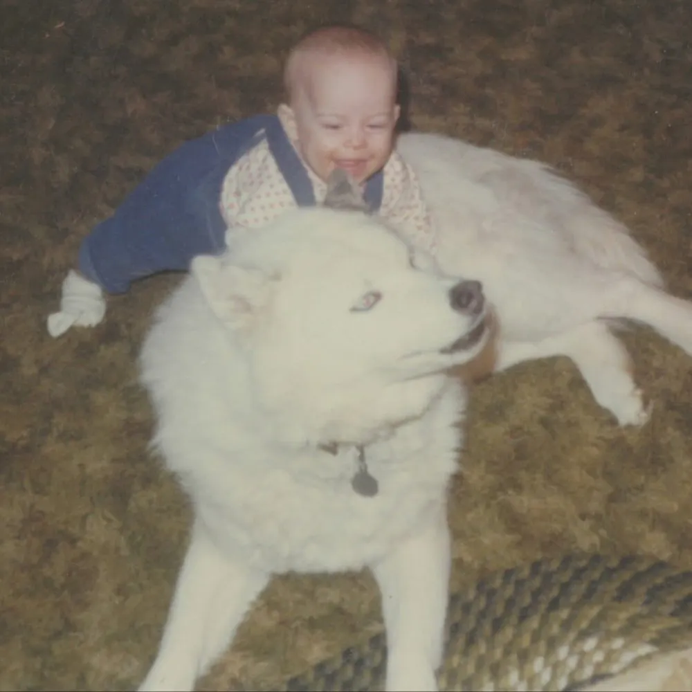 misscantbewrong.bsky.social's profile picture