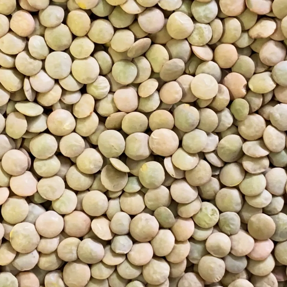 dr-negrin.bsky.social's profile picture