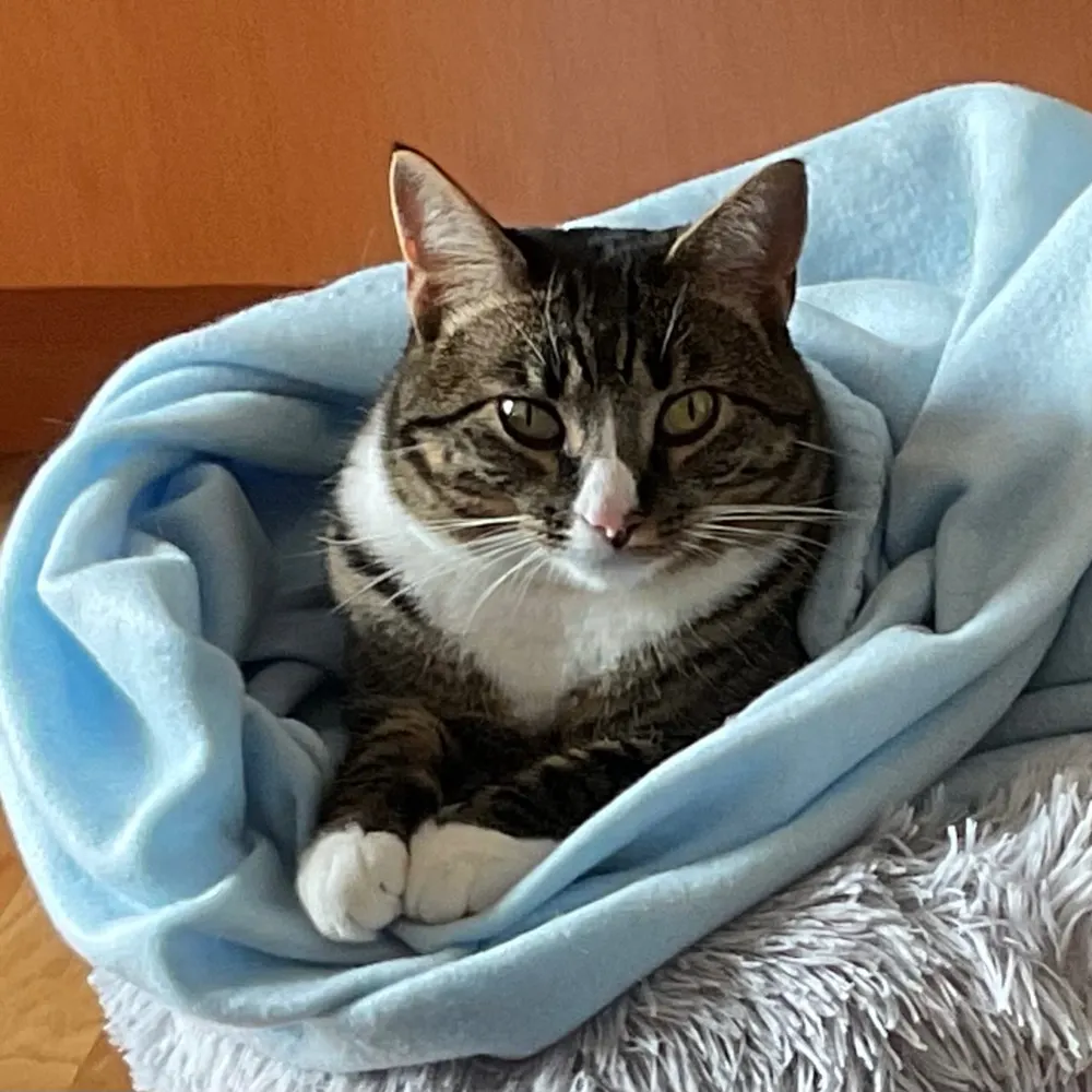 shaym114.bsky.social's profile picture