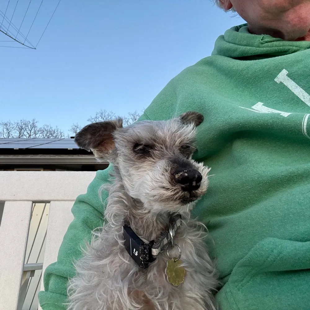 rdaily.medsky.social's profile picture