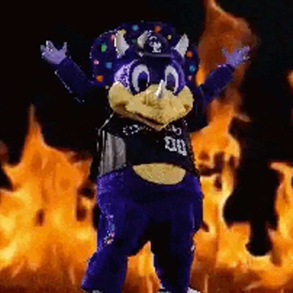 liberaceswraith.bsky.social's profile picture