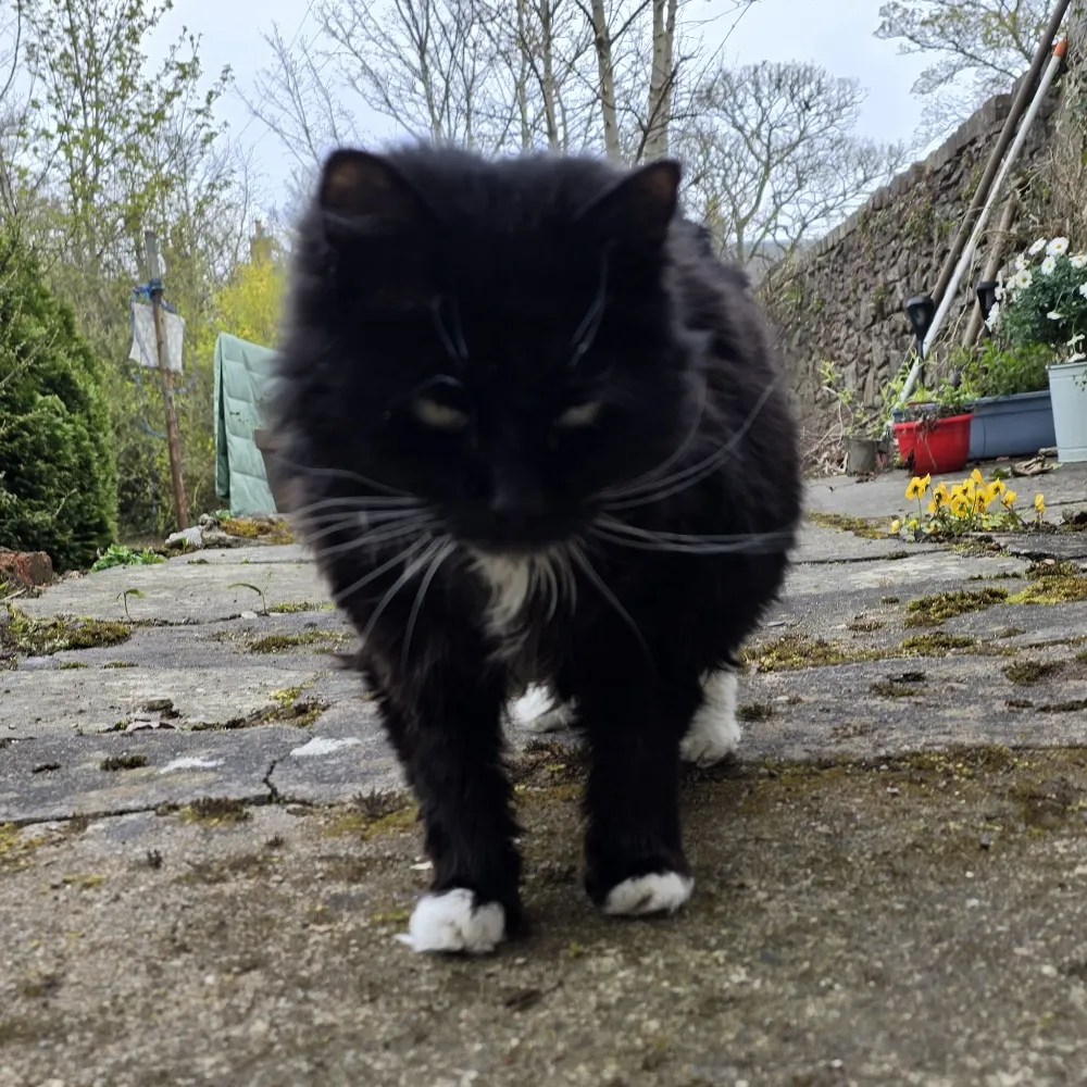 gordonwright.bsky.social's profile picture