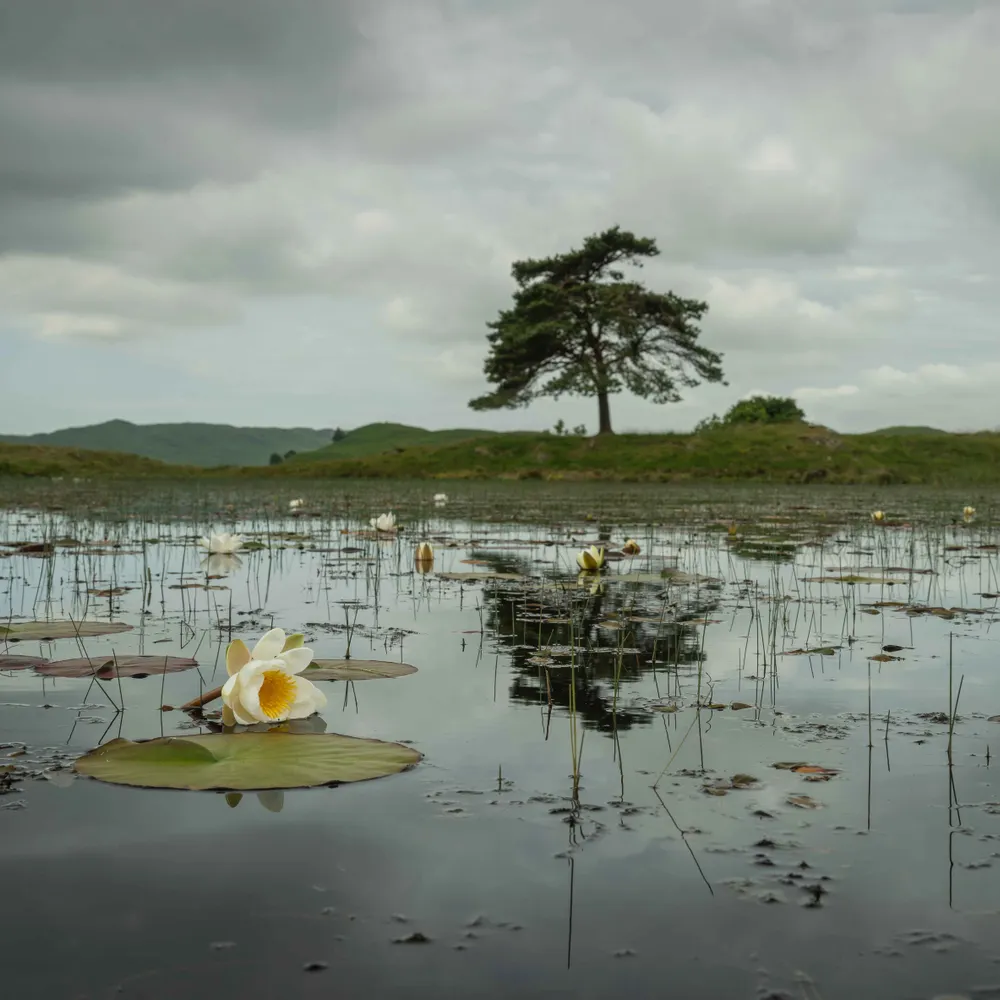 theoccasionaltog.bsky.social's profile picture