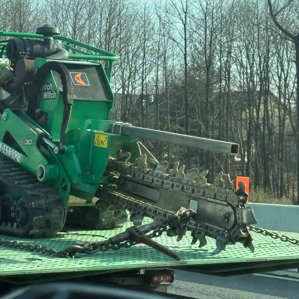 spawningsnow.bsky.social's profile picture